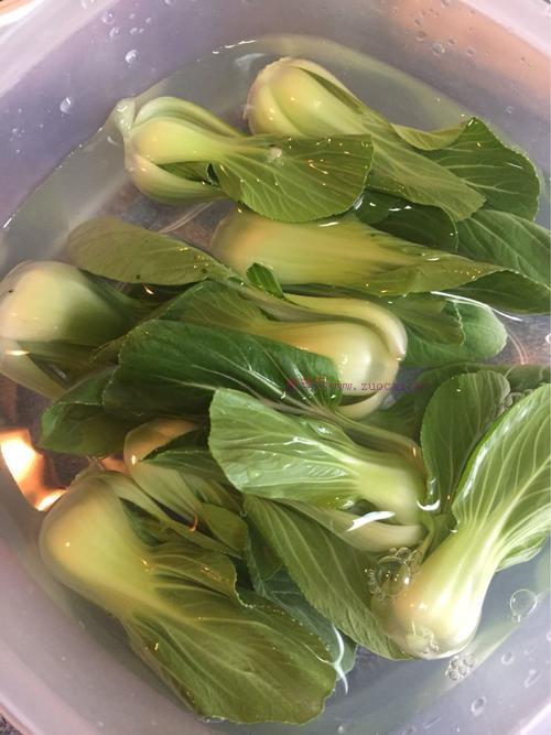 牛肉手搟面的做法