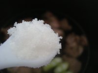 清湯羊肉燉黃蘿卜的做法步驟5