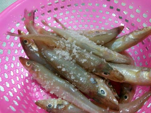 干煎沙丁魚的做法