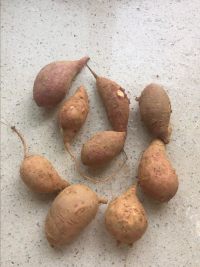 薯棗的做法步驟1