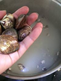 香菇蛤蜊海鮮粥的做法步驟6