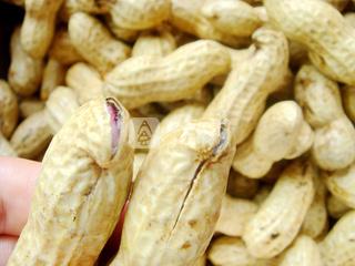 水煮花生的做法步驟:2