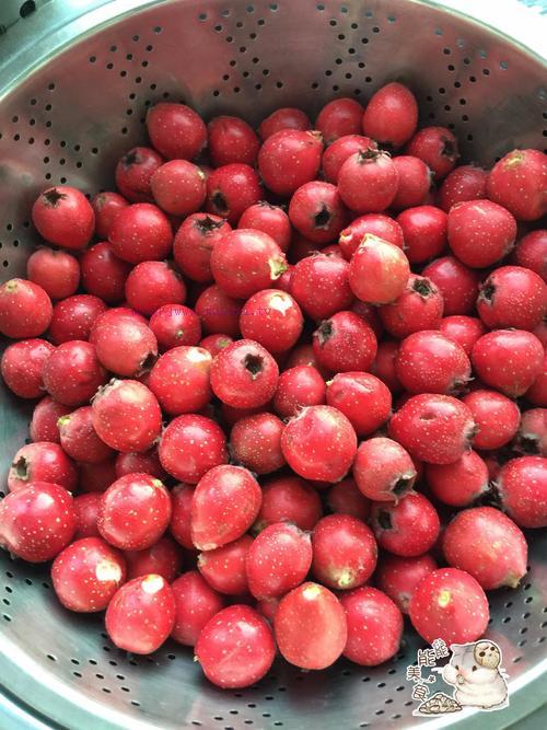 【糖尿病食譜】無(wú)糖版山楂果醬的做法