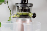 西芹蘋(píng)果汁的做法步驟4