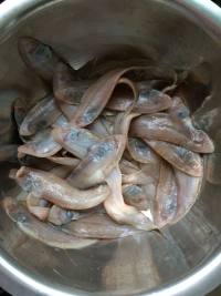 炸酥香小魚(yú)的做法步驟1