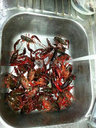 麻辣小龍蝦的做法步驟:1