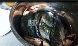 京津名吃、家鄉(xiāng)回憶--紅燜鯽魚的做法步驟：1