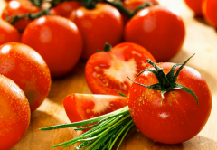 十月適合種什么菜比較好 十月份可以種植什么蔬菜