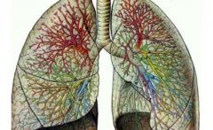 真菌性肺炎的癥狀 真菌性肺炎怎么治療