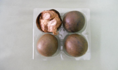 羅漢果能治咳嗽嗎 羅漢果怎么吃能治咳嗽