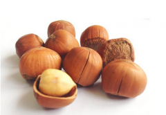 榛子怎么剝殼簡單 榛子能保存多久