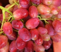 【提子怎么保存】提子的營(yíng)養(yǎng)價(jià)值