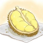 【榴蓮的營(yíng)養(yǎng)價(jià)值】榴蓮的功效與作用_榴蓮不能和什么一起吃