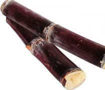 【甘蔗是什么季節(jié)的】甘蔗是哪里的特產(chǎn)_吃甘蔗會胖嗎