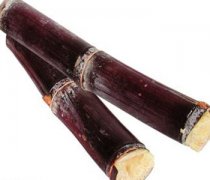 【甘蔗是水果嗎】甘蔗的熱量_甘蔗的營養(yǎng)價(jià)值