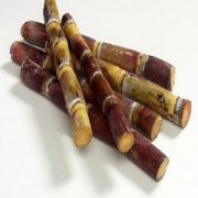 【吃甘蔗會胖嗎】甘蔗的熱量_甘蔗的營養(yǎng)價(jià)值