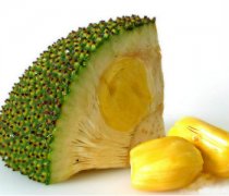 【菠蘿蜜干苞和濕苞】菠蘿蜜是干苞好吃還是濕苞好吃_菠蘿蜜干苞和濕