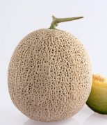 【哈密瓜是涼性的嗎】哈密瓜怎么吃_哈密瓜的適宜人群