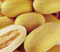 【哈密瓜怎么切】哈密瓜的種類_吃哈密瓜會(huì)上火嗎