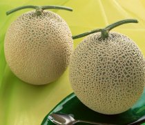 【吃哈密瓜舌頭麻】吃哈密瓜舌頭麻是怎么回事_哪些人不能吃哈密瓜