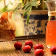 【山楂水的功效與作用】山楂水的做法_山楂水怎么煮