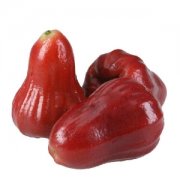 【蓮霧的營養(yǎng)價(jià)值】蓮霧的功效與