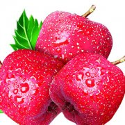 【山楂的功效與作用】山楂怎么吃_山楂的做法大全