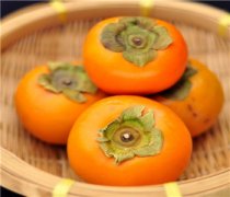 【柿子和蘋果能一起吃嗎】柿子和蘋果要怎么吃_柿子和蘋果的營(yíng)養(yǎng)價(jià)值