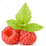 【桑葚的功效與作用】桑葚有哪些營養(yǎng)價值_吃桑葚有哪些注意事項