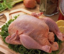 【吃雞肉的好處】吃雞肉會胖嗎_