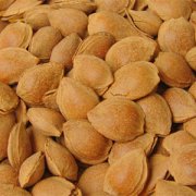 【孕婦能吃杏仁嗎】孕婦吃杏仁的危害_孕婦吃了杏仁怎么辦