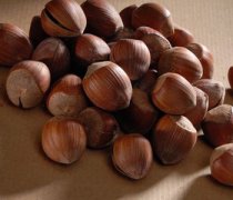 【榛子是什么】榛子的營養(yǎng)價值_榛子怎么吃