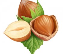 【生榛子能吃嗎】生榛子怎么吃_生榛子的營養(yǎng)價值