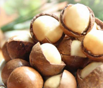 【夏威夷果的產(chǎn)地】夏威夷果的用途_什么是夏威夷果油