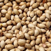 【白果燉雞的做法】白果燉雞的營養(yǎng)價值_白果燉雞的食療作用