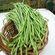 【豇豆的熱量】豇豆的食療價(jià)值_豇豆的注意事項(xiàng)