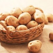 【發(fā)芽的土豆能吃嗎】土豆皮發(fā)綠能吃嗎_如何選購(gòu)?fù)炼? onerror=