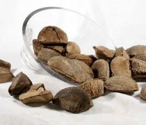 【鮑魚果的功效與作用】鮑魚果的