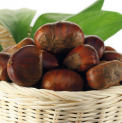 【板栗的藥用價(jià)值】板栗的藥用小