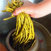 【泡豇豆的腌制方法】泡豇豆的營(yíng)養(yǎng)價(jià)值_泡豇豆的食用禁忌