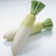 【白蘿卜的功效】白蘿卜的功效與作用_白蘿卜的營(yíng)養(yǎng)價(jià)值