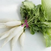【白蘿卜的營(yíng)養(yǎng)價(jià)值】白蘿卜的藥用價(jià)值_白蘿卜的適用人群