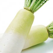 【白蘿卜藥用價(jià)值】白蘿卜的營(yíng)養(yǎng)價(jià)值_白蘿卜的做法