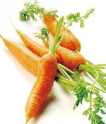 【胡蘿卜的功效】胡蘿卜的做法_胡蘿卜怎么吃護眼