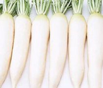【腌白蘿卜的做法大全】腌白蘿卜的好處_腌白蘿卜的營(yíng)養(yǎng)價(jià)值