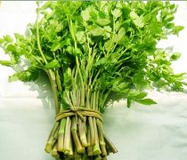 【野芹菜的功效與作用】野芹菜的營(yíng)養(yǎng)價(jià)值_野芹菜怎么做好吃