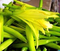 【新鮮黃花菜怎么處理】黃花菜的營(yíng)養(yǎng)價(jià)值_黃花菜有毒嗎