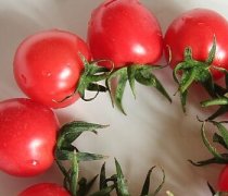 【圣女果和西紅柿的區(qū)別】圣女果