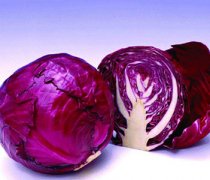 【紫甘藍的做法大全】紫甘藍怎么做好吃