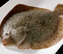 【多寶魚(yú)多少錢(qián)一斤】多寶魚(yú)的營(yíng)